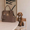 Load image into Gallery viewer, Nooee Pet Ash Felt Dog Carrier