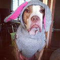 Load image into Gallery viewer, Bunny Hoodie Dog Sweater