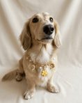 Load image into Gallery viewer, Buttercup Charm Pack