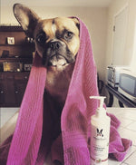 Hydrating Butter - For Dog's Skin & Coat - Leave-In Moisturizer