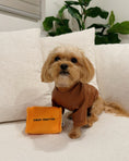 Load image into Gallery viewer, CHEWY PAWTTON PLUSH DOG TOY - Southlake Paws