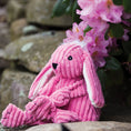 Load image into Gallery viewer, Bitsy Bunny Knottie® Plush Dog Toy - image 10