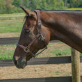 Load image into Gallery viewer, Henri de Rivel Stress Free Halter With Fancy Contrast Stitching