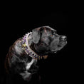 Load image into Gallery viewer, The Candy Dog Collar