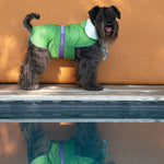 Bespoke Dog Raincoat Meadow