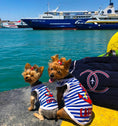 Load image into Gallery viewer, Parisian Pet 'Captain' Fun Sailor Dog Outfit – Soft and Breathable Nautical Pet Wear for Small Dogs & Cats, Blue & White Stripes