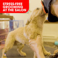 Load image into Gallery viewer, Distract-A-Hat ™ The Dog Lick Hat - Southlake Paws