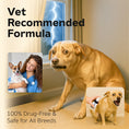 Load image into Gallery viewer, Southlake Paws Essential Oil Dog Calming Spray with a scared dog, vet recommendation, and calming spray application.