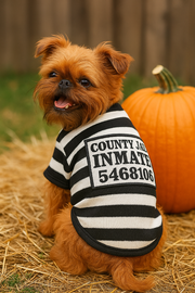 Parisian Pet 'Furry Inmate' Black and White Stripes Halloween Costume - Funny Prison Design for Cats & Dogs