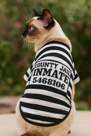 Parisian Pet 'Furry Inmate' Black and White Stripes Halloween Costume - Funny Prison Design for Cats & Dogs