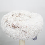 Cullen Arc Modern Multi-Activity Cat Tower