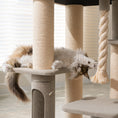 Load image into Gallery viewer, Ontario Extra Large Cat Tree and Scratcher for Indoor Cats