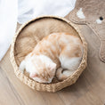Load image into Gallery viewer, Cozy Nest Handwoven Luxury Cat Bed for Indoor Cats