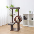 Load image into Gallery viewer, Wagon 2 Modern Cat Tree and Scratcher for Indoor Cats