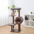 Load image into Gallery viewer, Wagon 2 Modern Cat Tree and Scratcher for Indoor Cats