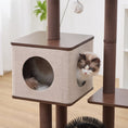 Load image into Gallery viewer, Elevate 2 Modern Cat Tree and Scratcher for Indoor Cats
