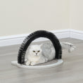 Load image into Gallery viewer, Nifty Cat Scratcher Toy for Indoor Cats