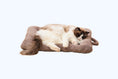 Load image into Gallery viewer, Cozypaws Insulated Warming Pet Mat for Cats and Dogs