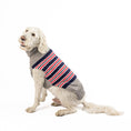 Load image into Gallery viewer, Charlie Alpaca Dog Sweater
