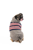 Load image into Gallery viewer, Charlie Alpaca Dog Sweater