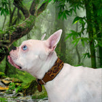 Cheetah Sambboho dog collar (animal print collection)