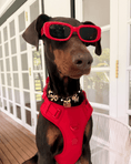 Load image into Gallery viewer, Cherry Charm Pack