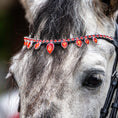 Load image into Gallery viewer, Scarlet Red Browband by Southlake Paws featuring red gemstones on a black strap, worn on a horse's forehead.