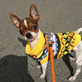 Load image into Gallery viewer, Classic Knit Dog Sweater - Southlake Paws
