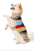 Load image into Gallery viewer, Painted Desert Dog Sweater