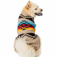 Load image into Gallery viewer, Painted Desert Dog Sweater