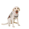 Load image into Gallery viewer, Bunny Patrol Dog Sweater