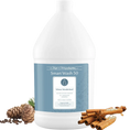 Load image into Gallery viewer, Pet Smart Wash50 Winter Wonderland Shampoo Gallon by Chris Christensen
