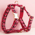 Load image into Gallery viewer, Christmas Red Star Plaid Set