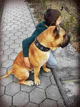 Load image into Gallery viewer, "Maximus Silver" BIG dog SET- Harness - collar - lead. Black