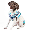 Load image into Gallery viewer, Coastal Cable Knit Dog Sweater