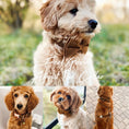 Load image into Gallery viewer, Shallow Khaki Velvet Set