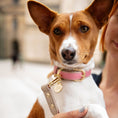 Load image into Gallery viewer, Collar - Vegan Leather