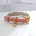 Load image into Gallery viewer, Collar - Vegan Leather