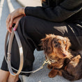 Load image into Gallery viewer, Collar - Vegan Leather