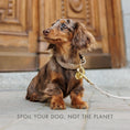 Load image into Gallery viewer, Collar - Vegan Leather