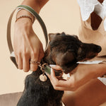 Collar - Vegan Leather Nina Woof