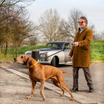 Ostrich Leather Dog Leash Havana