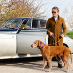 Ostrich Leather Dog Collar Grape