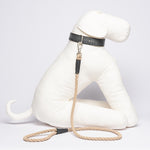 Galuchat Dog Leash