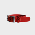 Load image into Gallery viewer, Everyday Collar