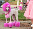 Load image into Gallery viewer, Canine Color Semi Perm Coat Color Shampoo for Dogs