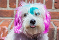 Load image into Gallery viewer, Canine Color Semi Perm Coat Color Shampoo for Dogs