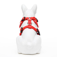 Load image into Gallery viewer, EcoBark Custom-Fit Harness & Leash Combo - Red Stripe