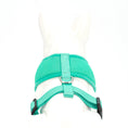 Load image into Gallery viewer, EcoBark Mint Turquoise Dog Harness - Over-the-Head Soft Mesh Vest Halter for Small to Medium Dogs