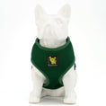 Load image into Gallery viewer, EcoBark Forest Green Dog Harness - Over-the-Head Vest Halter Soft Mesh for Small to Medium Dogs